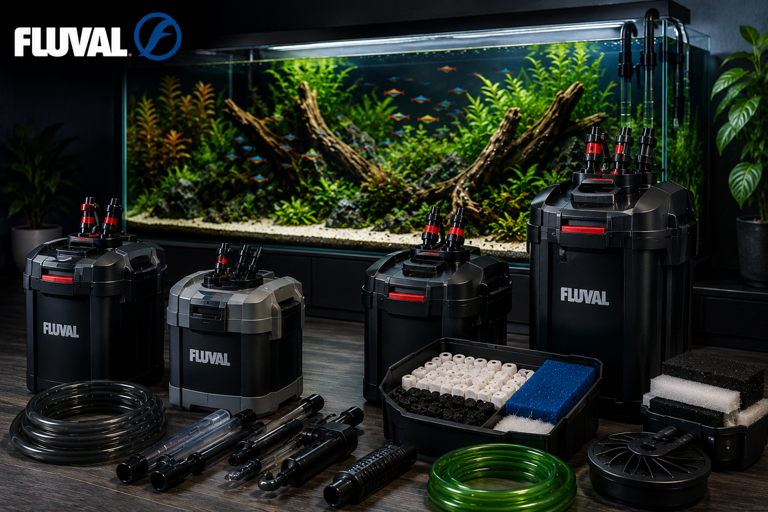 The Ultimate Help Guide to Fluval External Filters