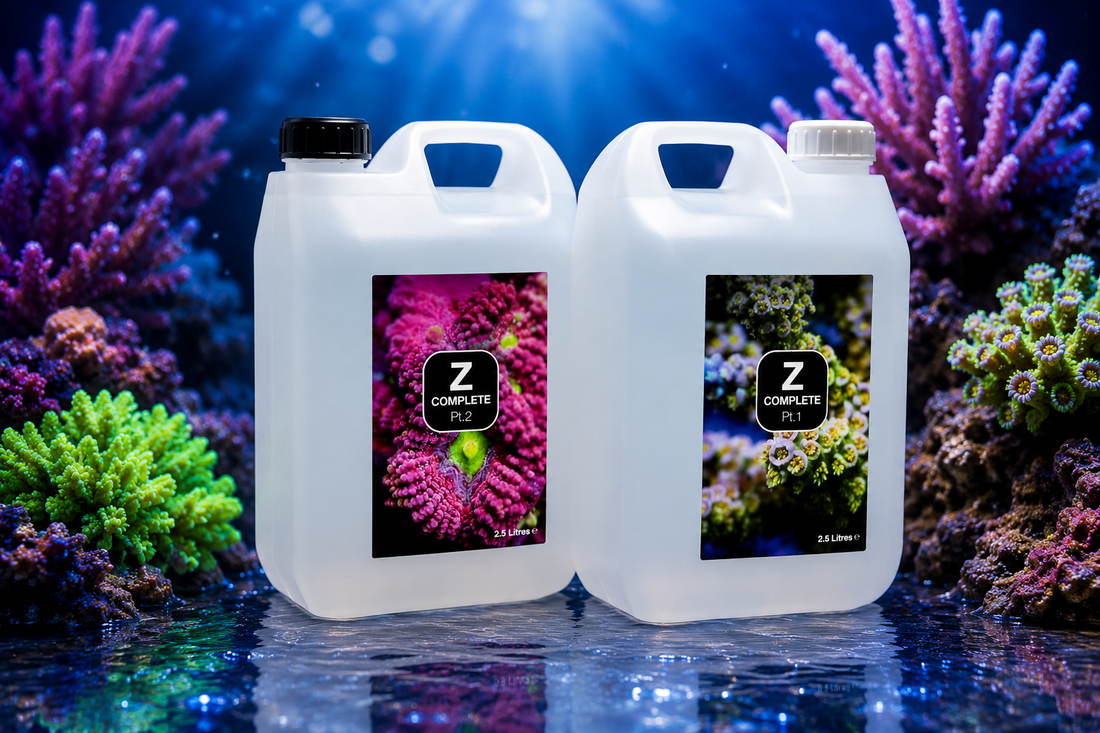 Troubleshooting Reef Zlements Dosing: What to Do When Levels Drift