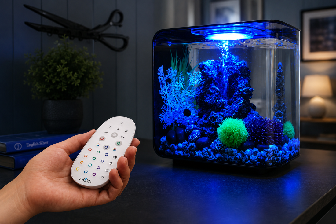 Troubleshooting biOrb Lighting: What to Do If Your Light Stops Working