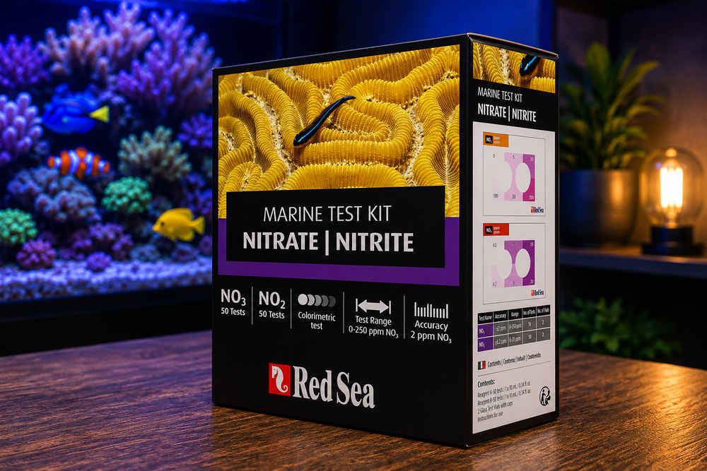 Understanding Nitrite in a Reef Tank: Causes, Effects, and Solutions