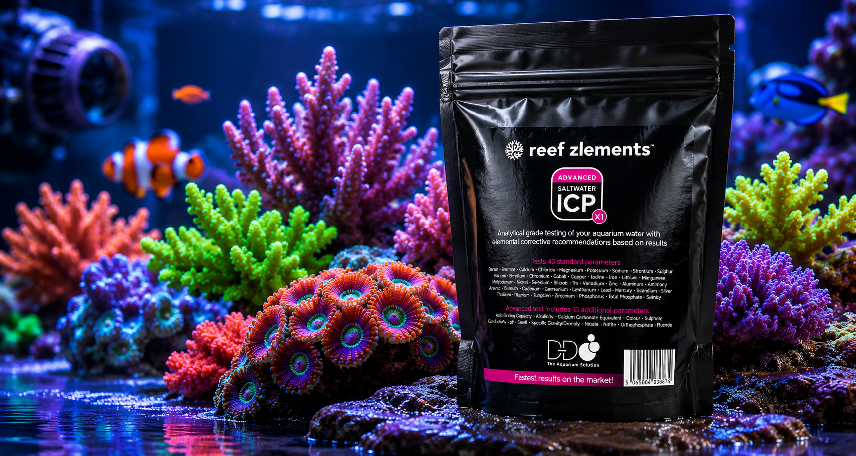 Understanding the Role of Trace Elements in Coral Colour and Growth