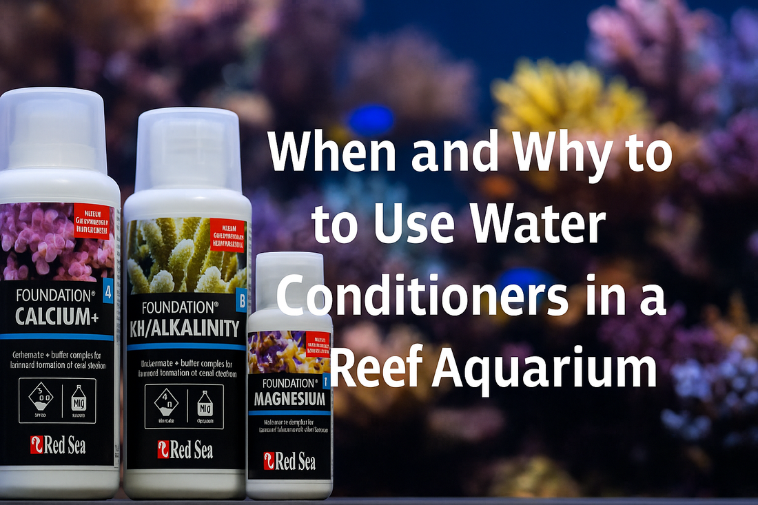 When and Why to Use Water Conditioners in a Reef Aquarium