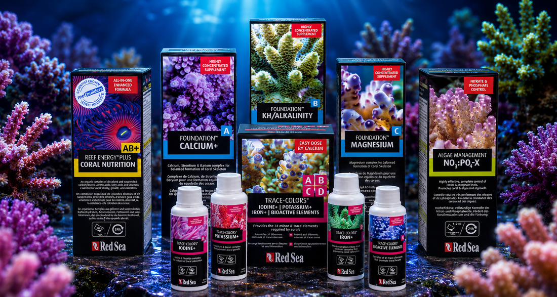 When and Why to Use Water Conditioners in a Reef Aquarium