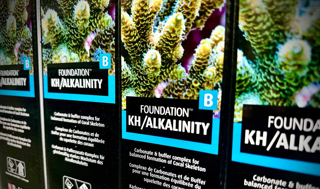 Understanding Alkalinity (KH) in a Reef Tank: Causes, Effects, and Solutions!