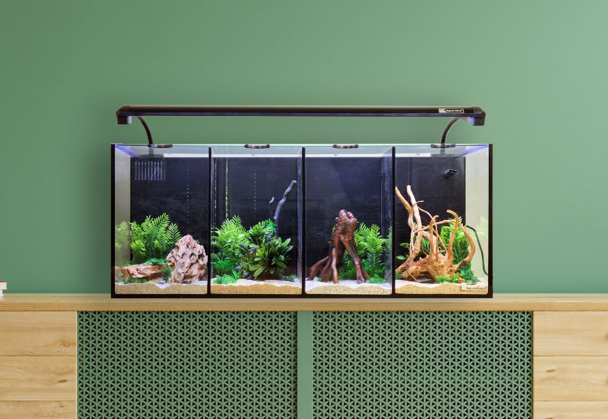 A comprehensive selection of purpose designed tanks ideal for keeping Betta or Shrimp