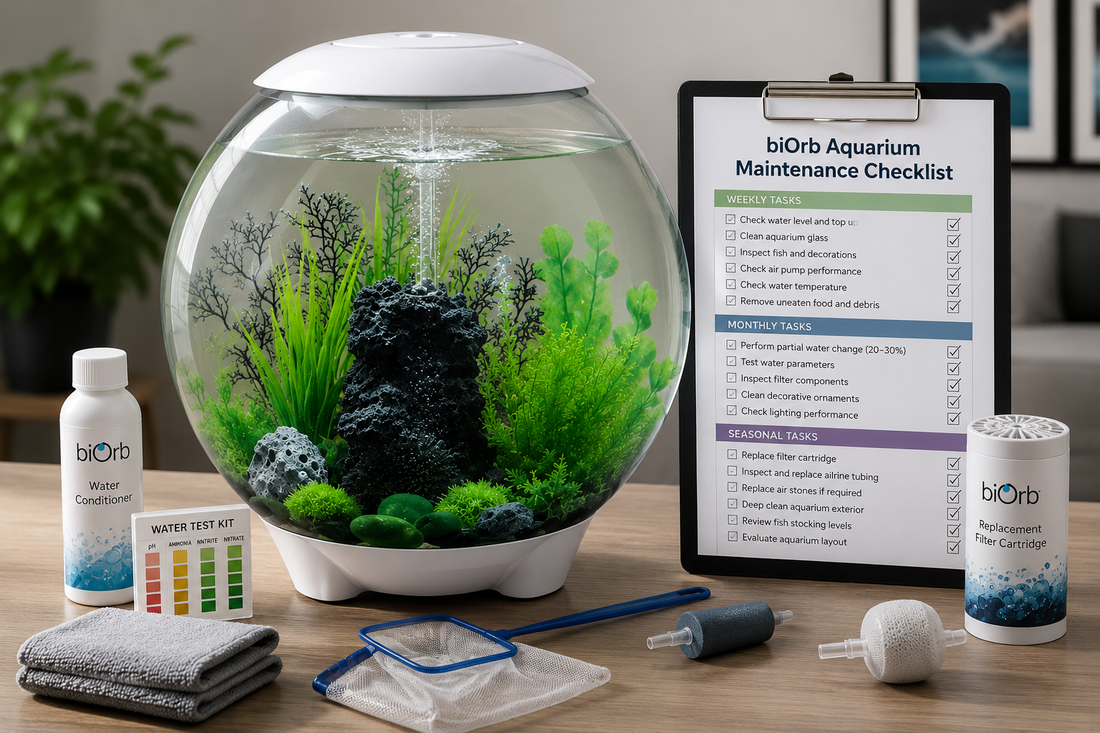 biOrb Aquarium Maintenance Checklist: Weekly, Monthly & Seasonal Tasks