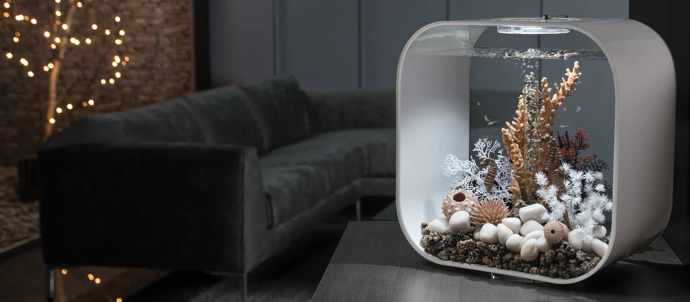 Discover the Awesome BiOrb Aquarium Range: A Guide to Stylish and Easy Fishkeeping