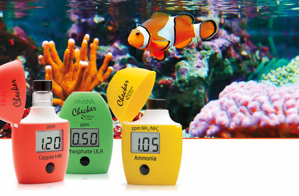 A Comprehensive Guide to Hanna Pocket Checker Test Kits for Aquariums