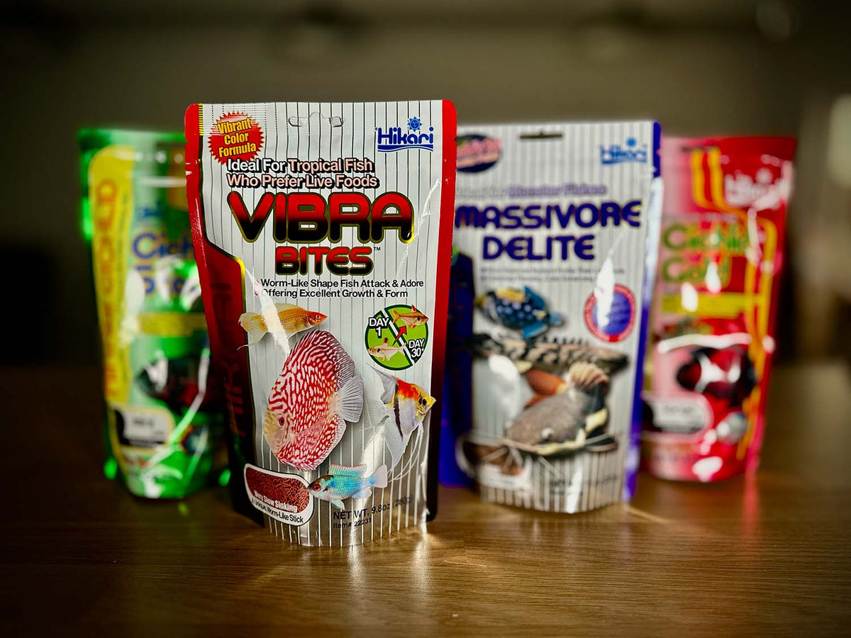 Why Hikari Aquarium Foods Are the Best Choice for Your Fish