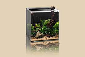 How to Set Up Your Dual AIO Aquarium for Beginners