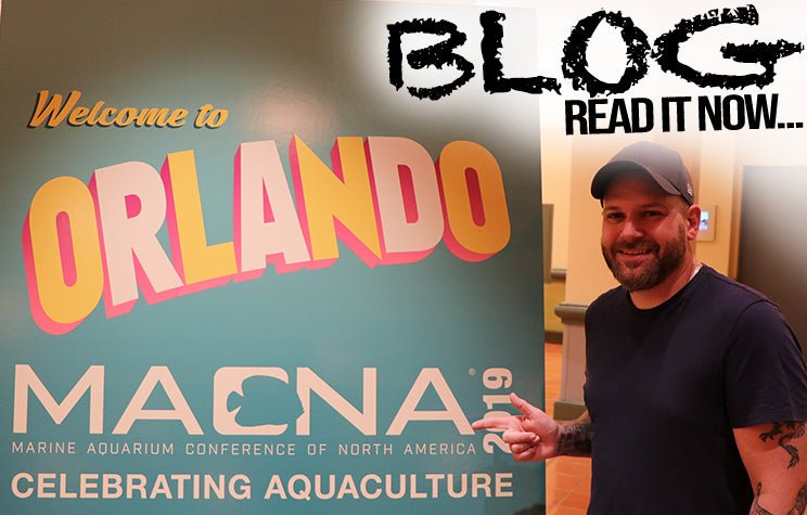 MACNA 2019: The Biggest New Reef Aquarium Products Revealed