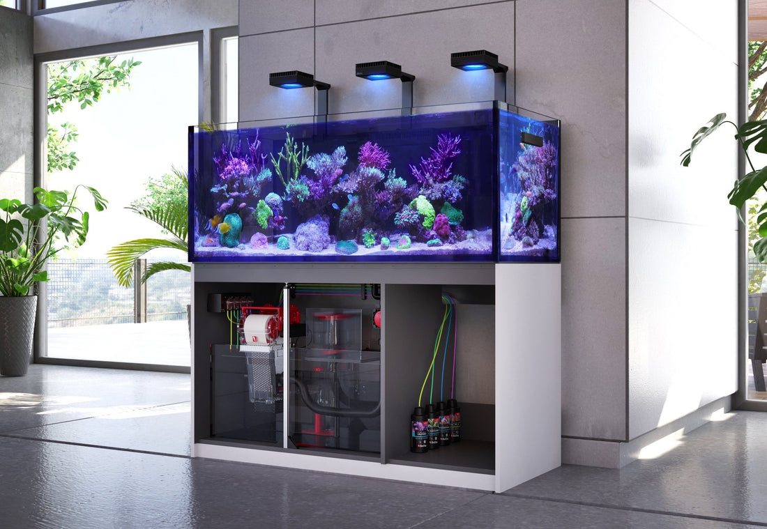 Red Sea Reefer G2 Aquariums - Charterhouse Aquatics
