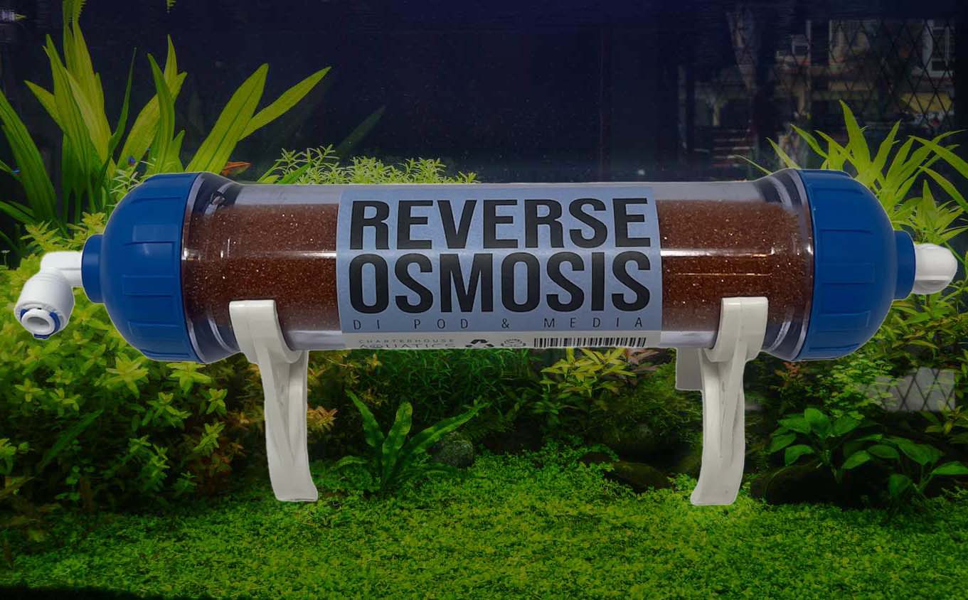 The Essential Role of Reverse Osmosis (RO) Water in Aquarium Maintenance