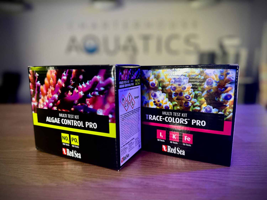 What Should You Test For in a Reef Aquarium?The Key Parameters and Frequency