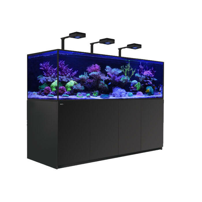 Marine Aquariums