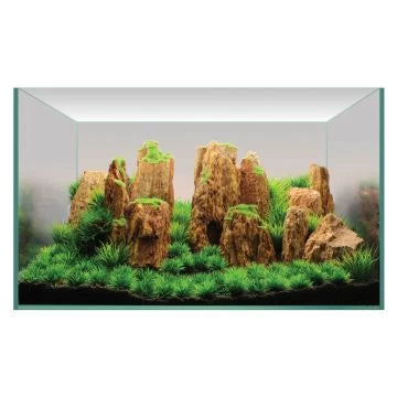 Rock and Plant Displays