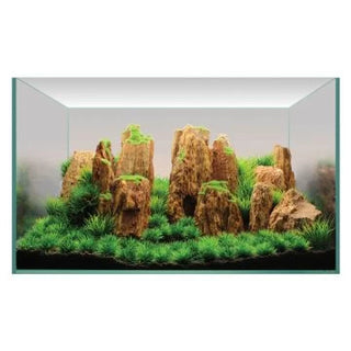 Rock and Plant Displays