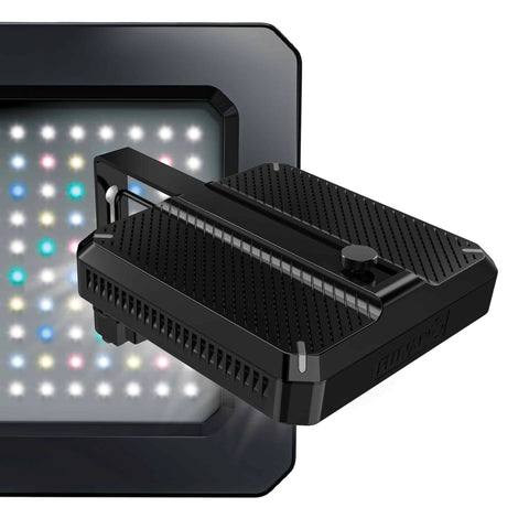 Freshwater Nano Lights