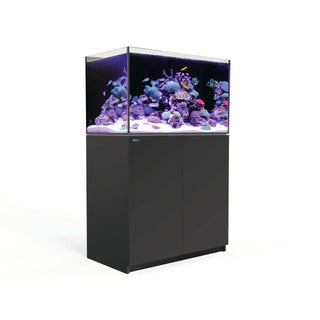 Reefer 250 Spares