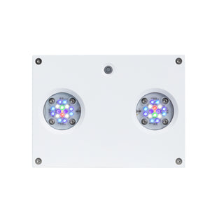 AI Hydra 32HD