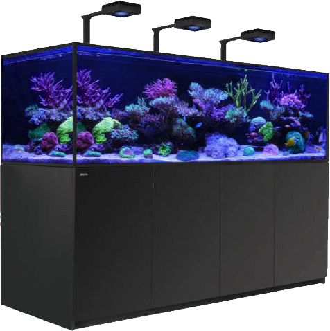 Marine Aquariums