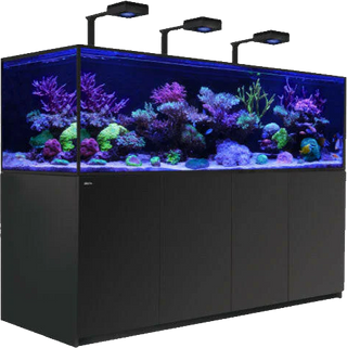 Marine Aquariums
