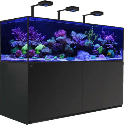 Marine Aquariums