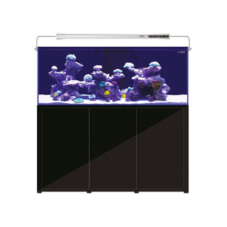 L'Aquarium
