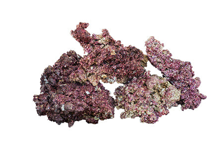 Marine Rock
