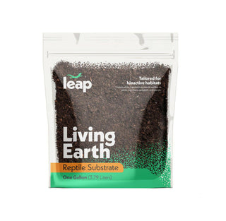 Reptile Substrates