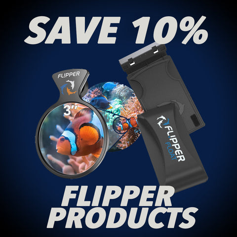 Flipper