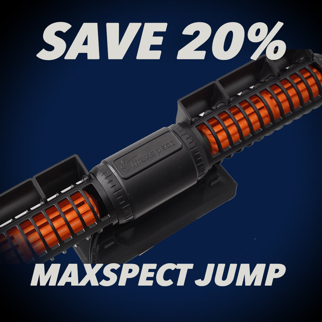 Maxspect Jump