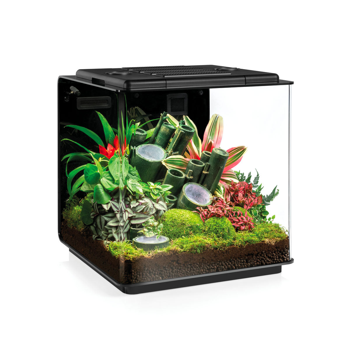 Terrariums