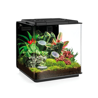 Terrariums