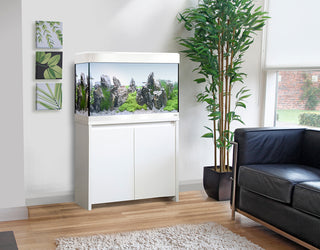 Aquarium Deals & Offers