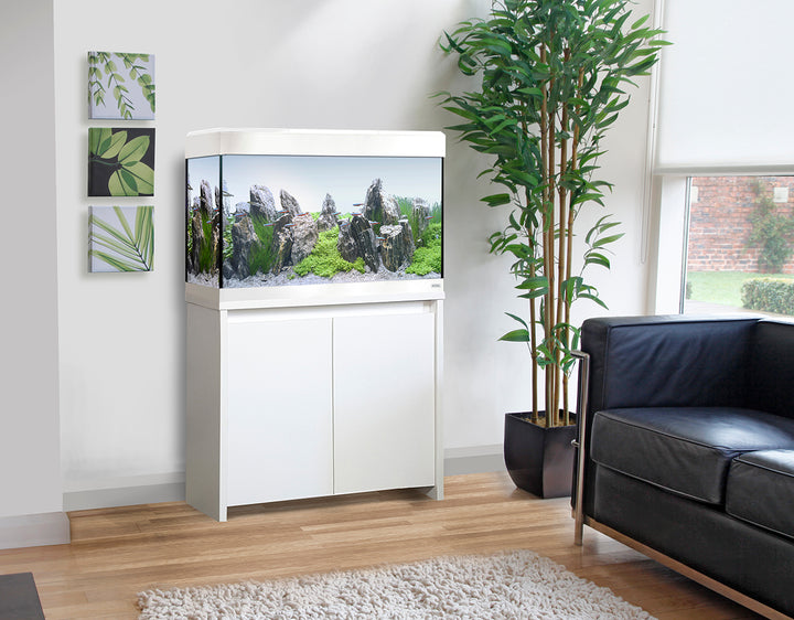 Aquarium Deals & Offers