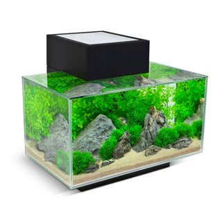 Fluval Edge