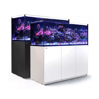 Reef Aquariums