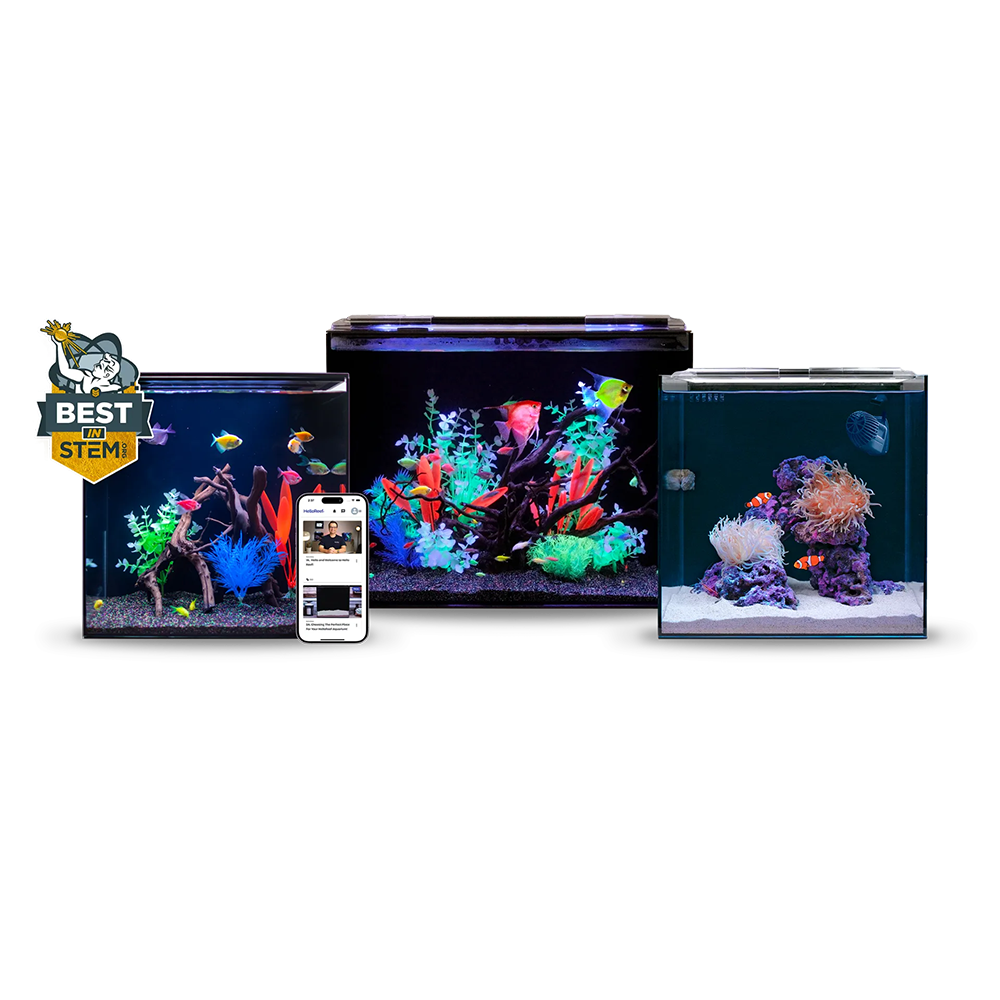 HelloReef Aquariums