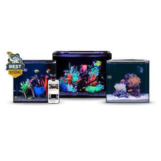 HelloReef Aquariums
