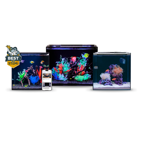 HelloReef Aquariums