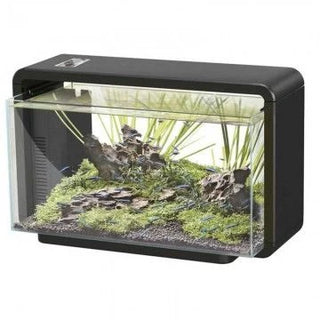 Superfish Aquariums