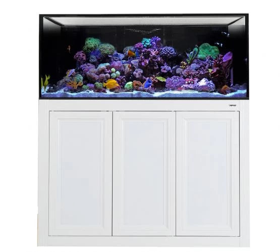 Innovative Marine Aquariums