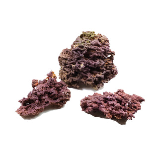 Jurassic Reef Rock