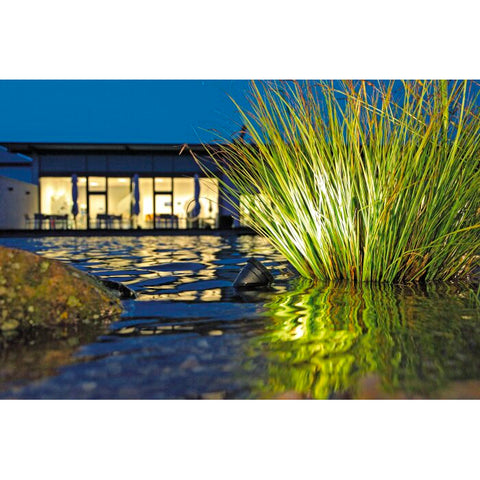 Pond Lights