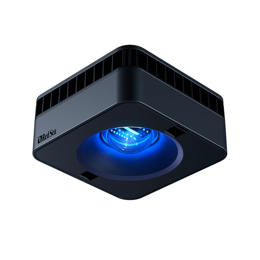 Marine & Reef Lighting