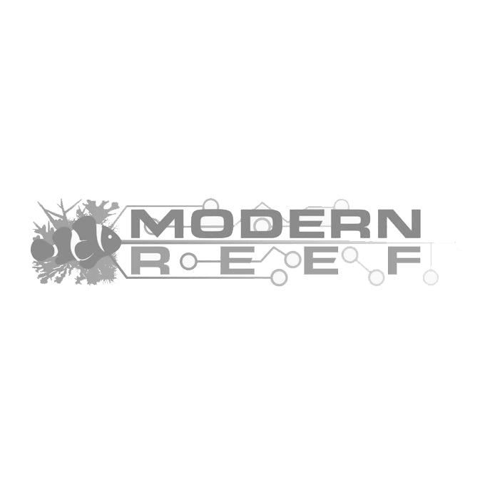 Modern Reef