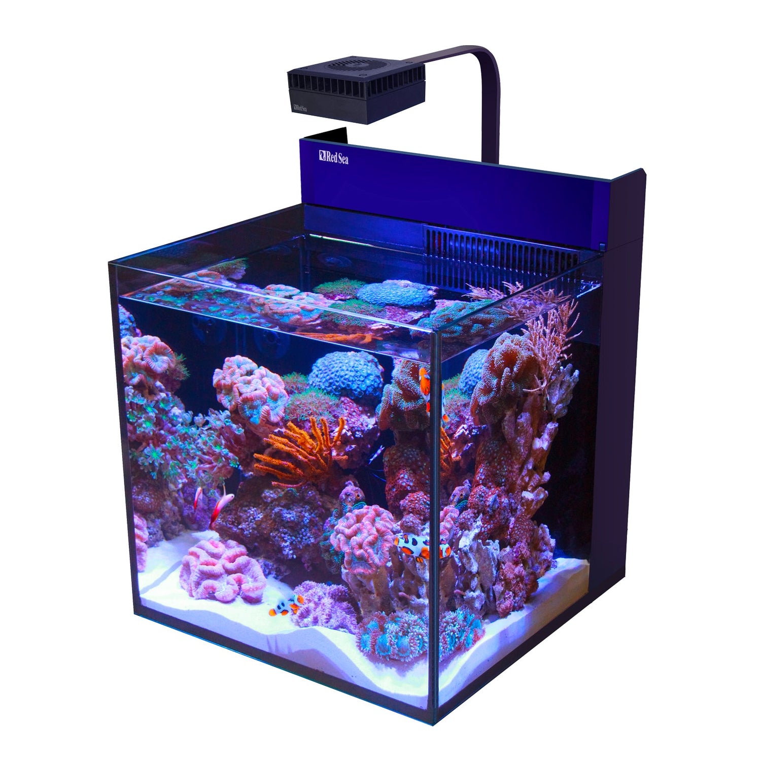 Marine Nano Tanks