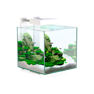 Ciano Nano Tanks.