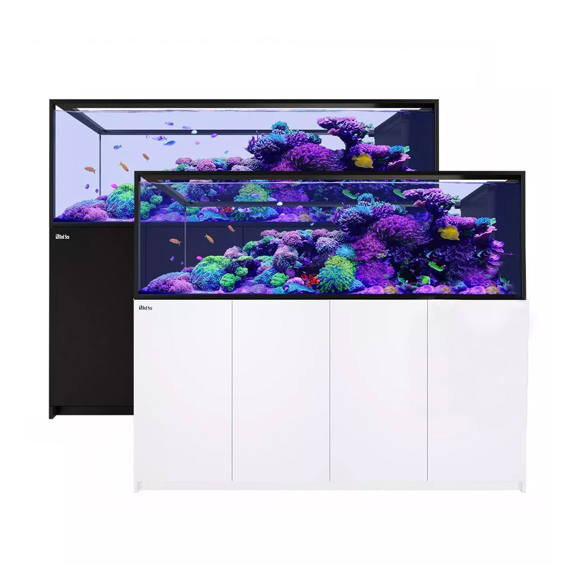 Red Sea Reefer Peninsula G3